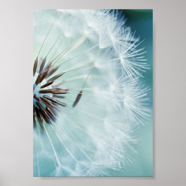 Póster Poster - Guay Blue (Frente)