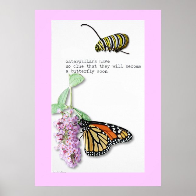 Póster Poster Haiku de mariposa (Frente)