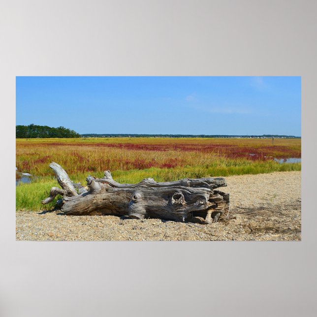 Póster Poster Hammonasset Driftwood (Frente)