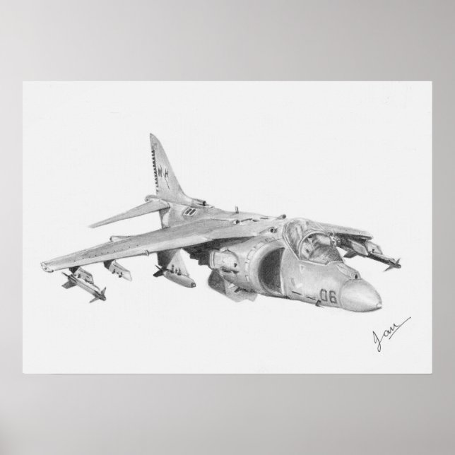 Póster Poster Harrier (Frente)