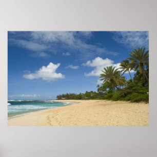 Póster Poster hawaiano de la playa A PARTIR del 8,99