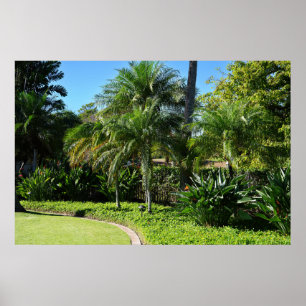 Póster Poster Hawaii Tree