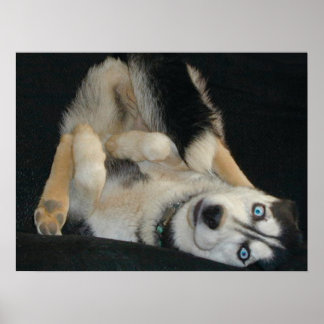 Póster Poster Head Over Heals