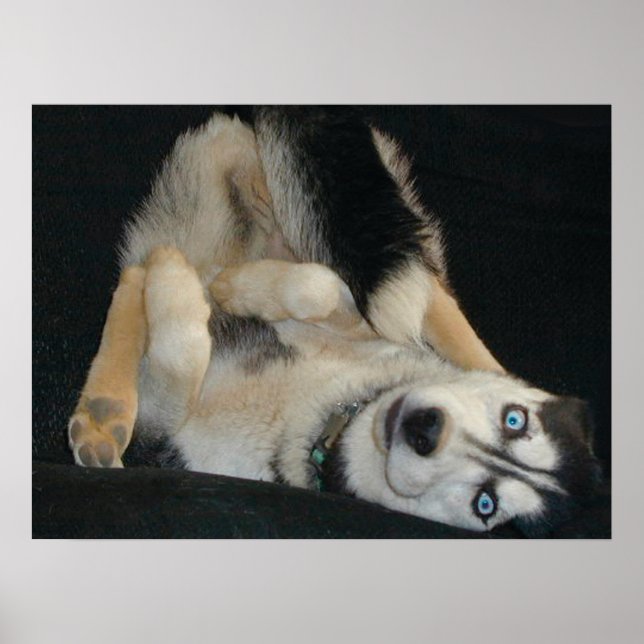 Póster Poster Head Over Heals (Frente)