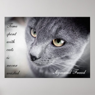 Póster Poster hermoso de la cita del gato - de motivación