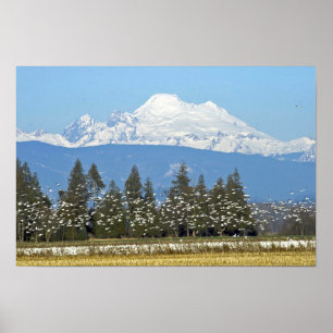 Póster Poster horizontal: Mt. Baker con Nieve Geese