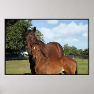 Póster Poster Horse Royale -60x40 -haga clic para más peq