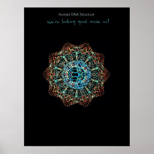 Póster Poster humano de la DNA