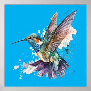 Póster Poster Hummingbird