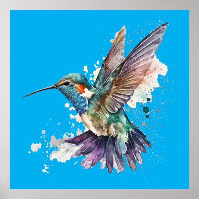 Póster Poster Hummingbird (Frente)