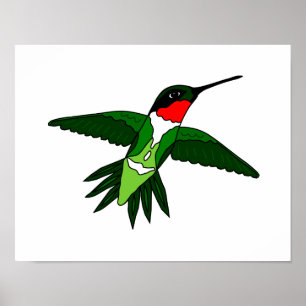 Póster Poster Hummingbird