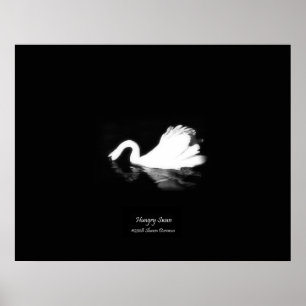 Póster Poster, Hungry Swan, Black & White, Photography