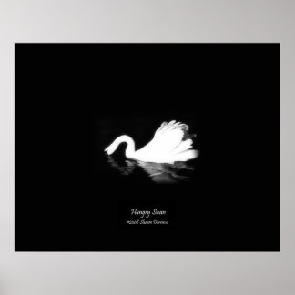 Póster Poster, Hungry Swan, Black & White, Photography