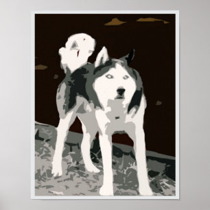 Póster Poster husky siberiano