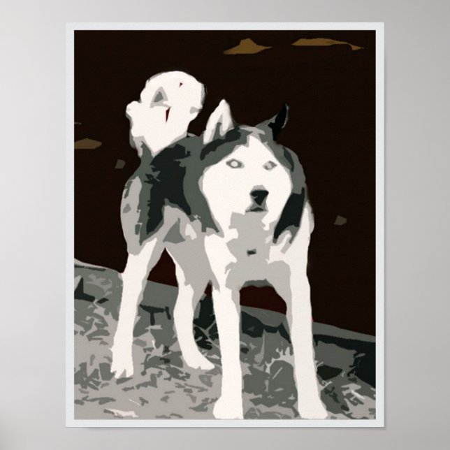 Póster Poster husky siberiano (Frente)