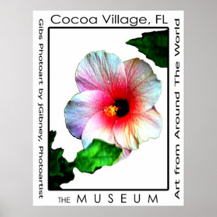 Póster Poster Hybiscus p3 del pueblo del cacao El MUSEO