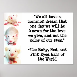 Póster Poster ideal común