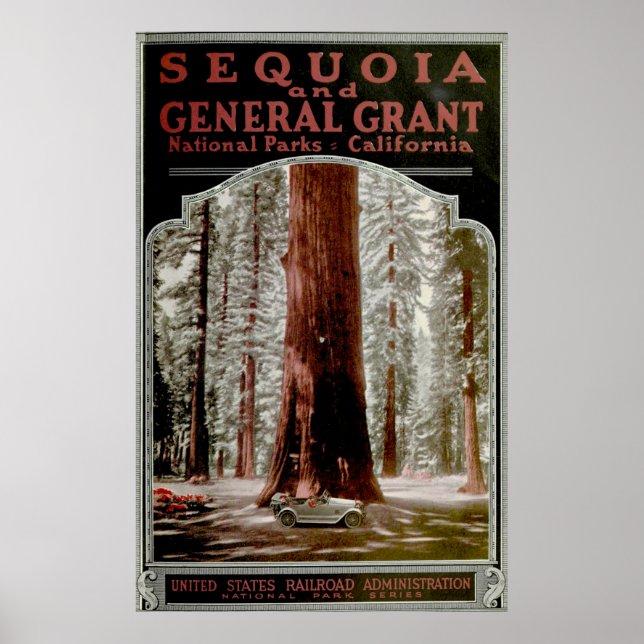 Póster Poster ilustrativo del Parque Nacional de Secuoyas (Frente)
