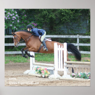 Póster Poster Img-1160