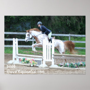 Póster Poster Img-1193