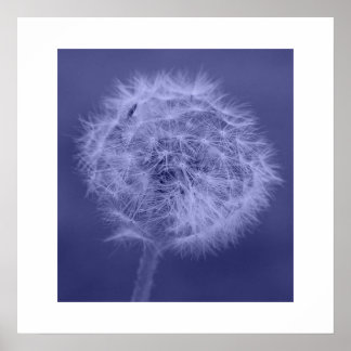 Póster Poster/imprenta azul de Dandelion