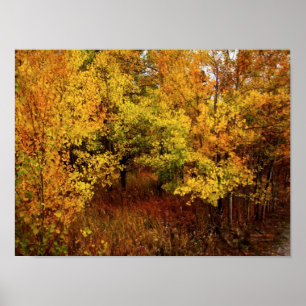 Póster Poster/impresión de paleta de otoño