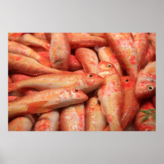 Póster Poster/impresión de peces rosados (Frente)