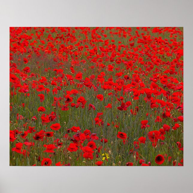 Póster Poster/impresión de Poppies (Frente)