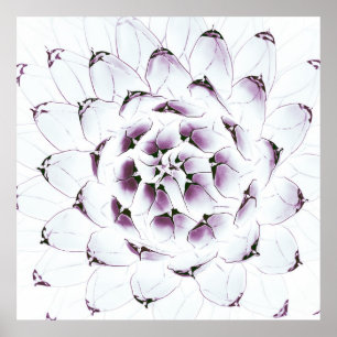 Póster Poster/impresión del cactus del agavo