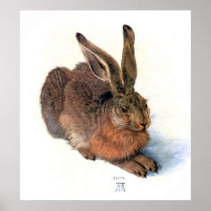 Póster Poster/Impresión: El Conejo