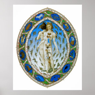 Póster Poster/impresión:: Hombre anatómico