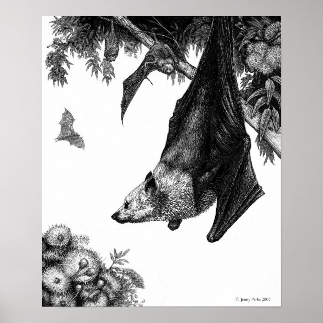 Póster Poster/impresiones de zorros voladores (Frente)