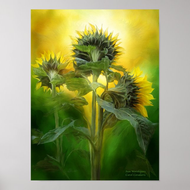 Póster Poster/Imprimir de Sun Worshipers (Frente)