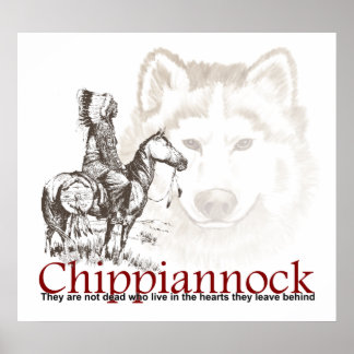 Póster Poster indio estadounidense No están muertos