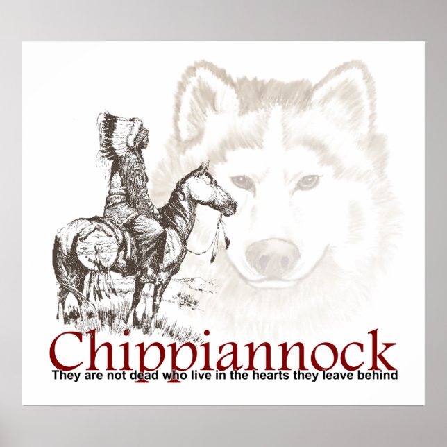 Póster Poster indio estadounidense No están muertos (Frente)