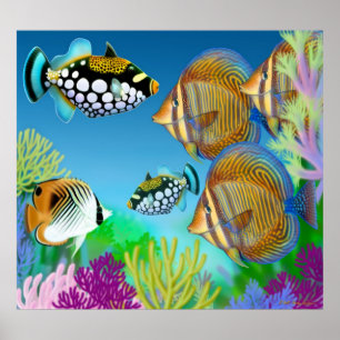 Póster Poster Indo-Pacífico de los pescados del arrecife