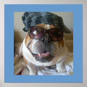 Póster Poster inglés divertido del bulldog