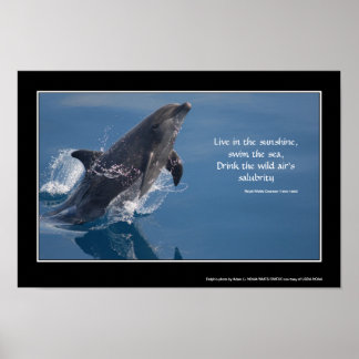 Póster Poster inspirador de delfines