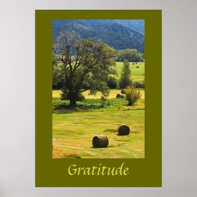 Póster Poster Inspirador de gratitud (Frente)