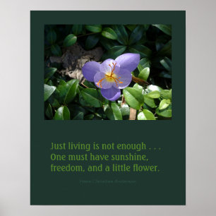 Póster Poster inspirador del jardín del azafrán