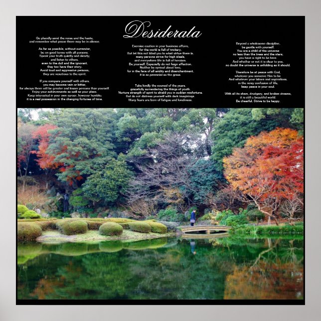Póster poster inspirador desiderata DE 8.99 (Frente)