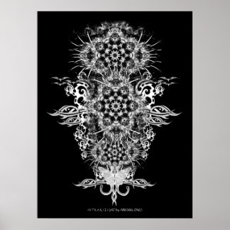 Póster POSTER INTRAKiZI