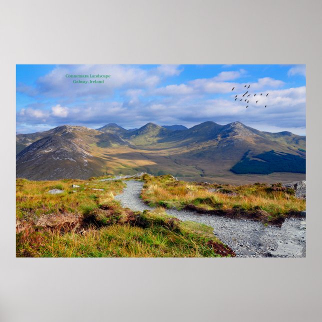 Póster Poster Irlanda (Frente)