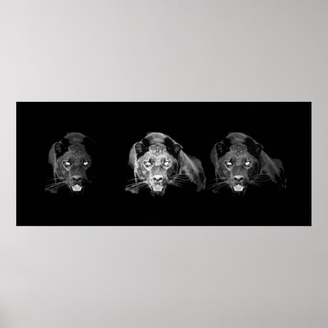 Póster Poster Jaguar blanco y negro (Frente)