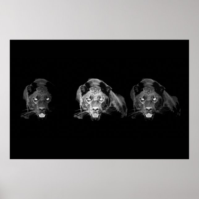 Póster Poster jaguar blanco y negro - gatos salvajes (Frente)