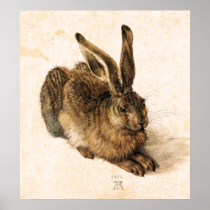 Póster Poster joven de las liebres de Albrecht Durer