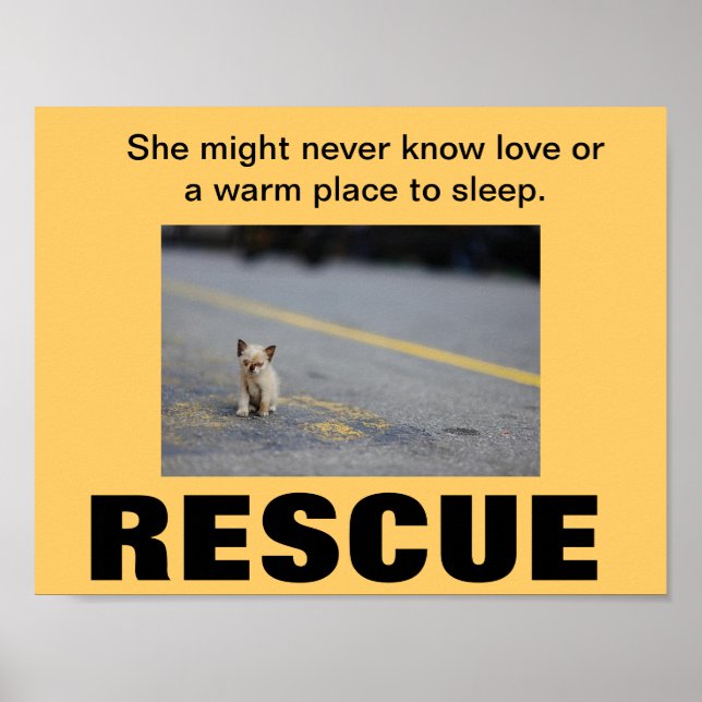 Póster Poster KITTEN RESCATE (Frente)