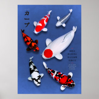 Póster Poster Koi Elegance