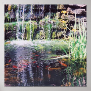 Póster Poster Koi Pond