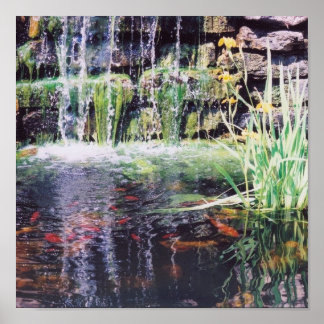 Póster Poster Koi Pond